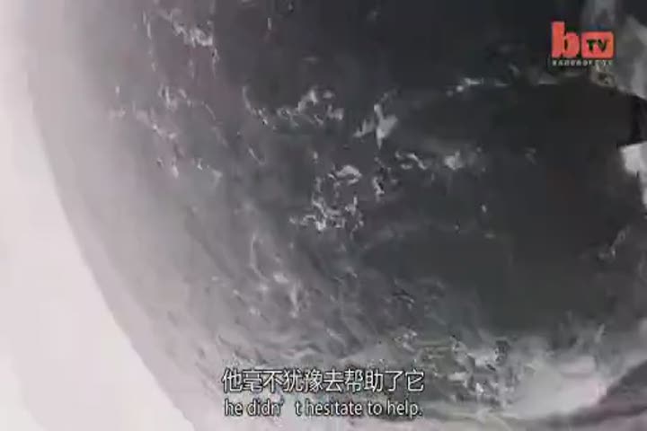 【环球趣闻】：被困鲸鱼被勇敢渔人所救